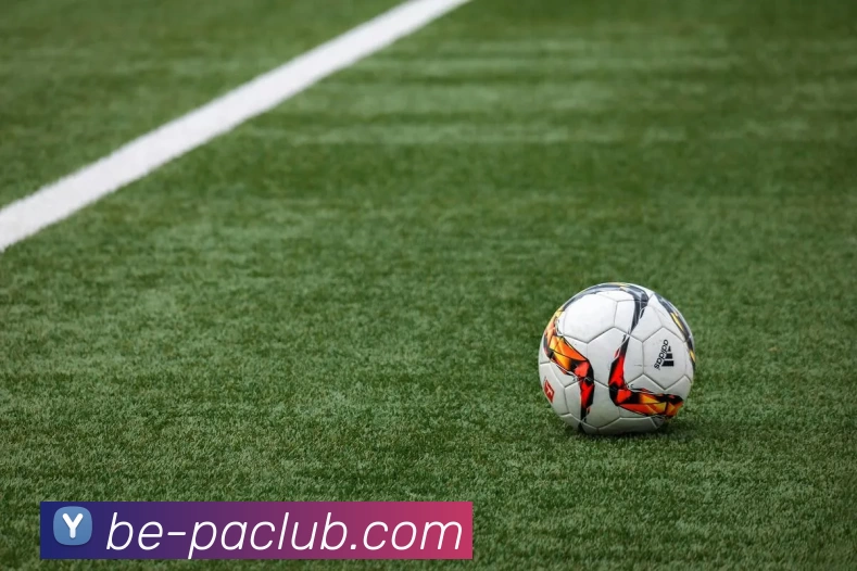 PA集团体育APP 封面图